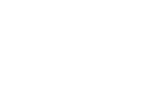 light logo